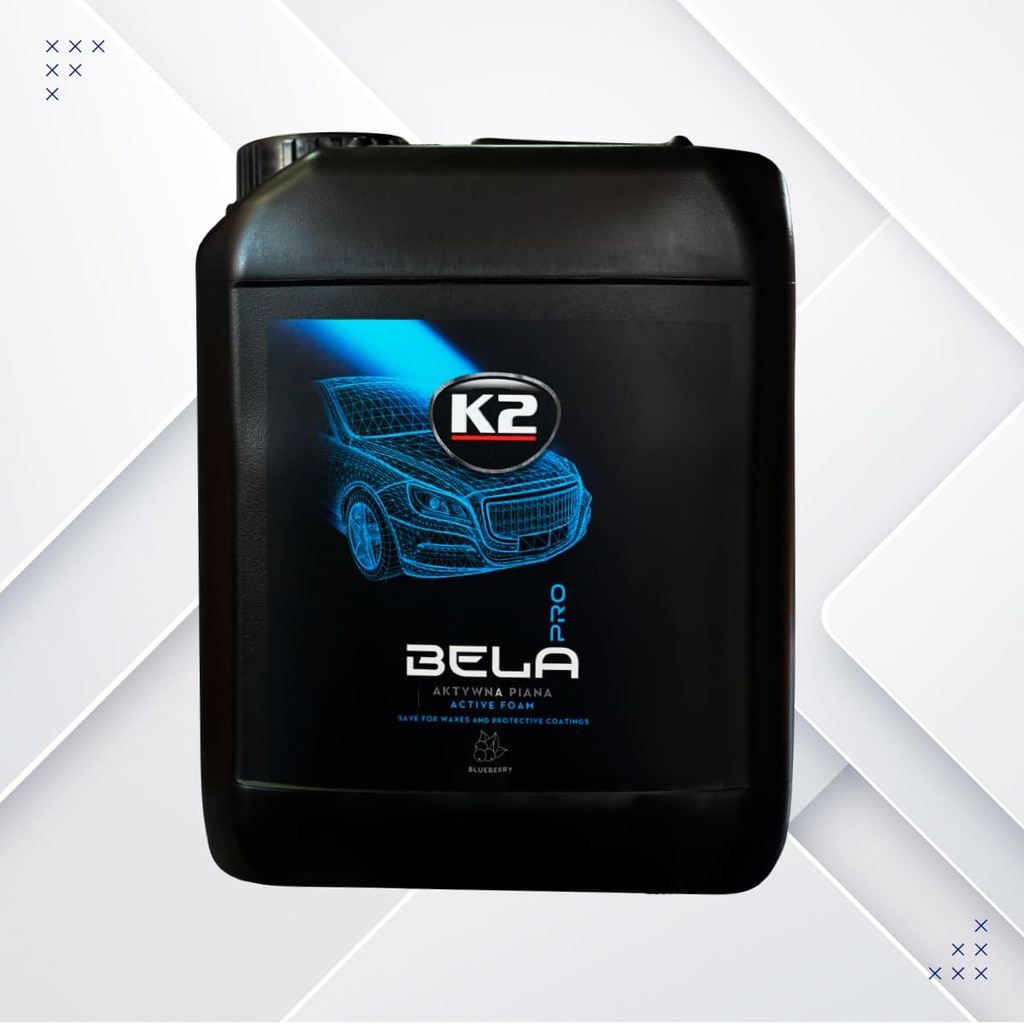 SHAMPOO ESPUMA IND. PARA MAQUINA ARANDANO BELA PRO 5L