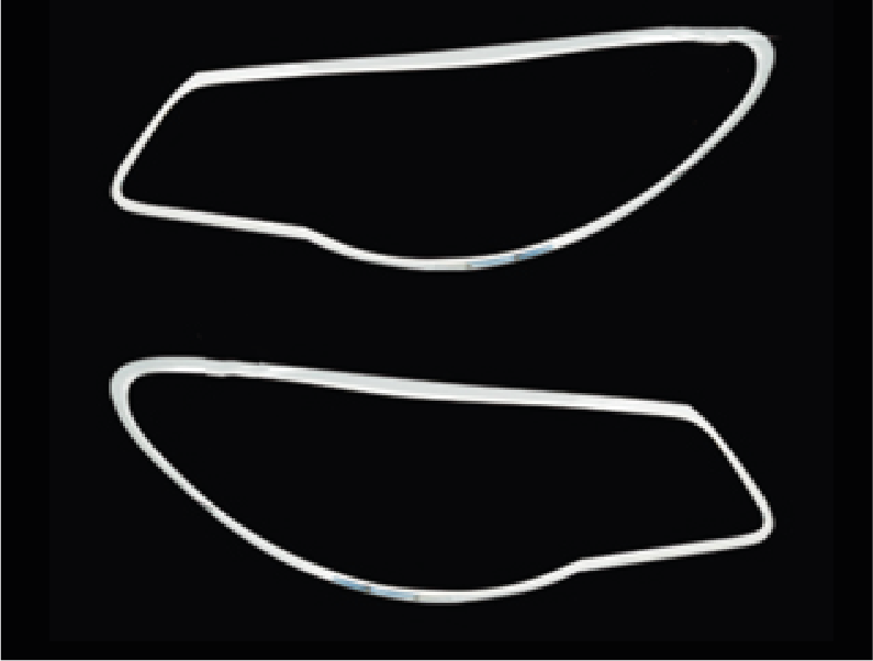 MOLDURA FARO DELANTERO (2PCS)