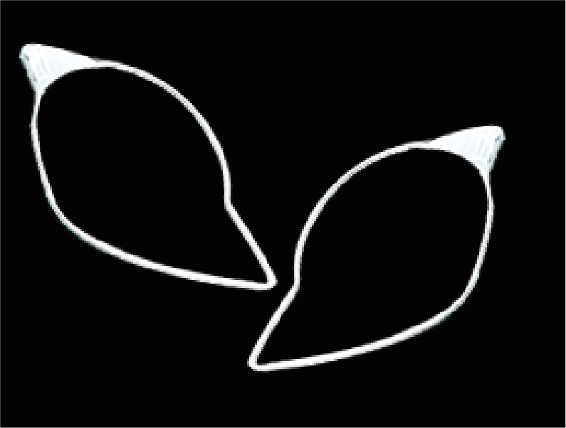 MOLDURA DE FARO DELANTERO (2PCS)