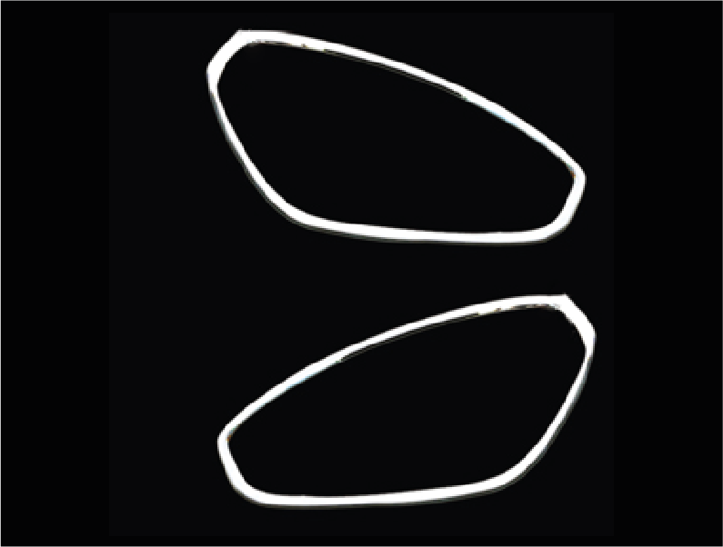 MOLDURA FARO DELANTERO (2PCS)